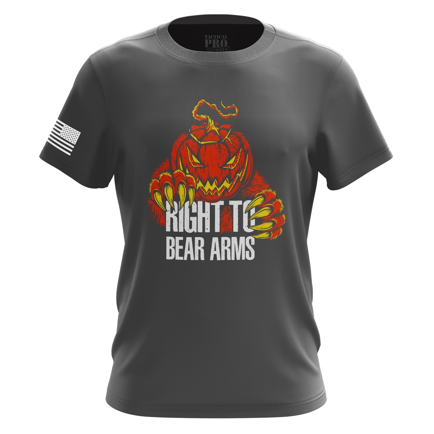 Right to Bear Arms