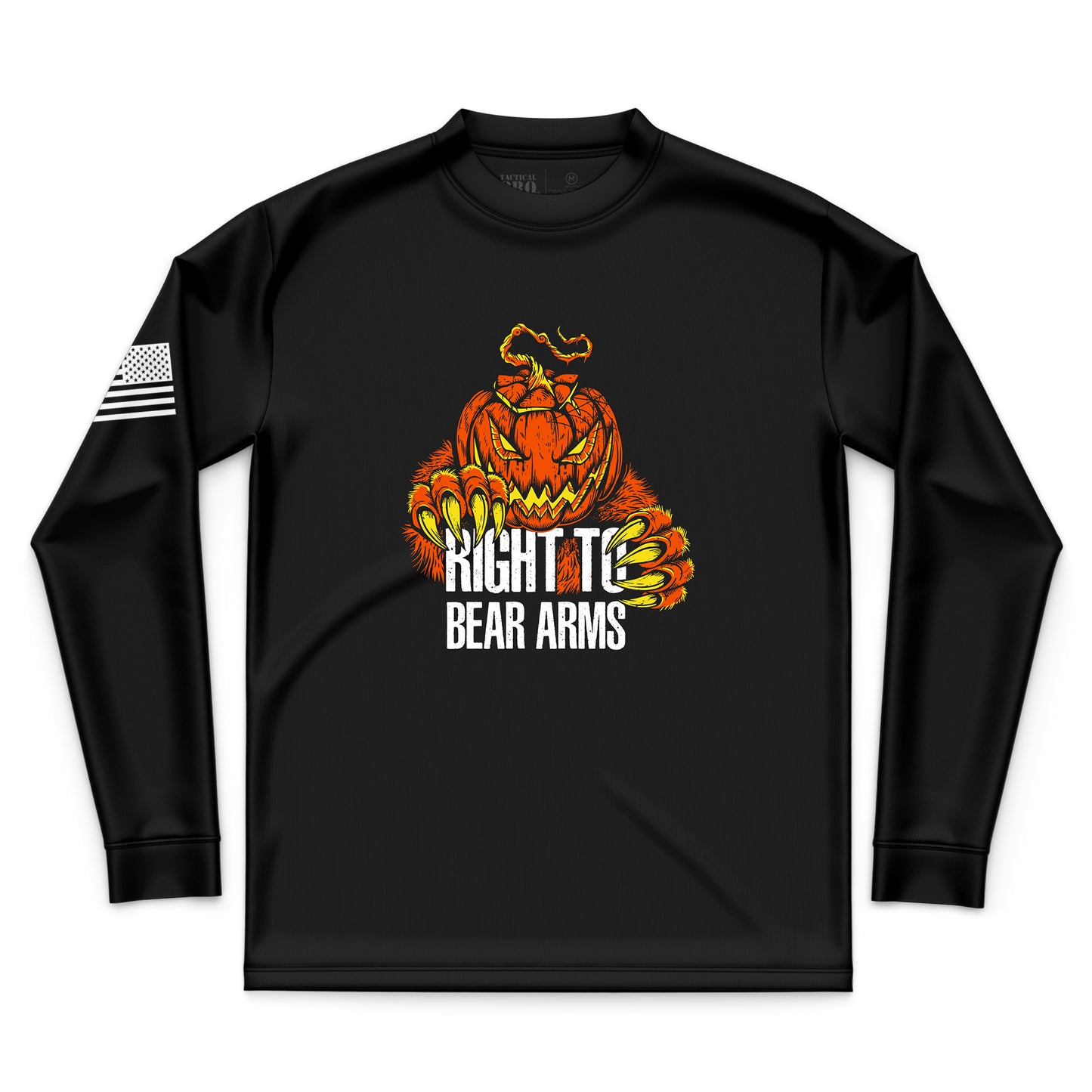 Right to Bear Arms