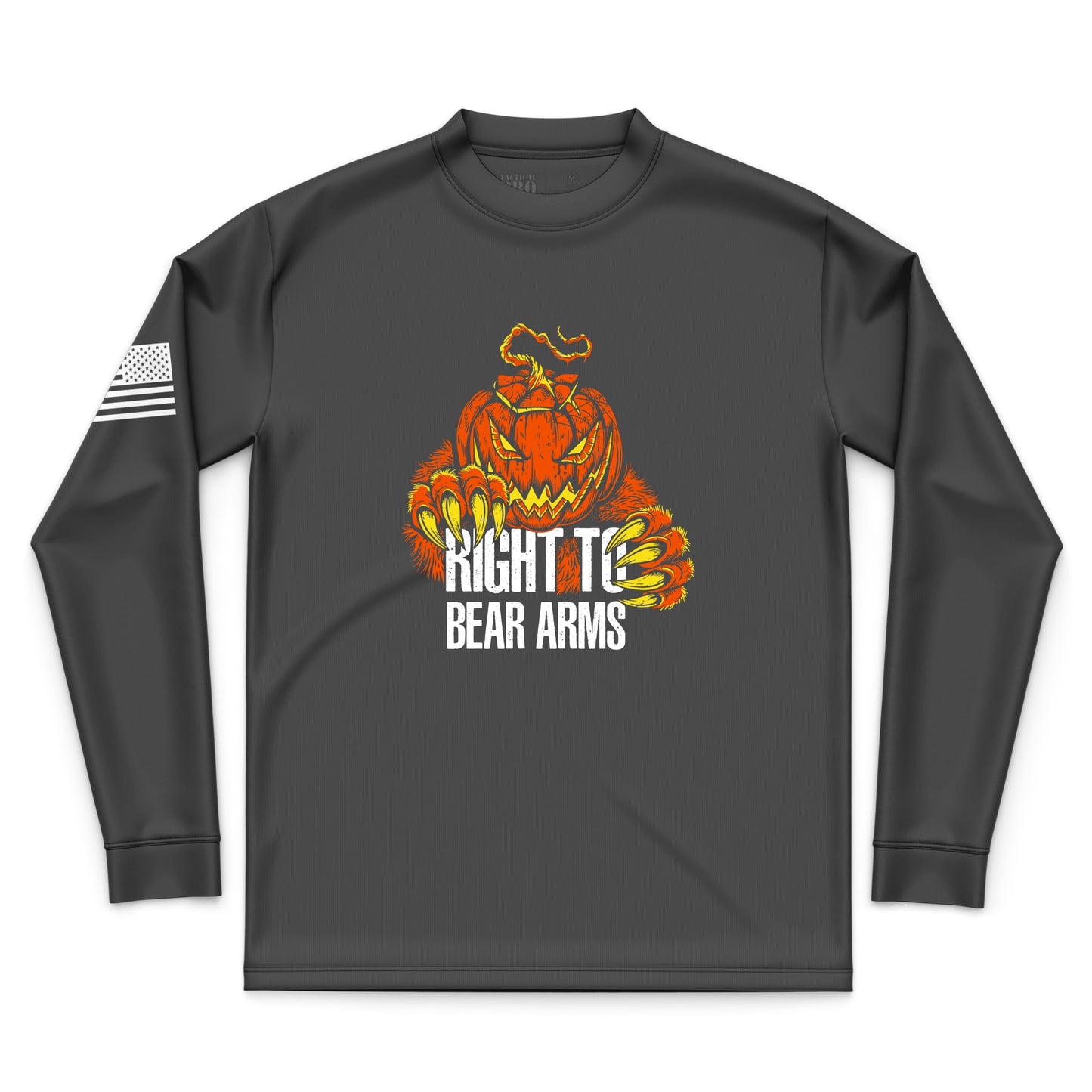 Right to Bear Arms