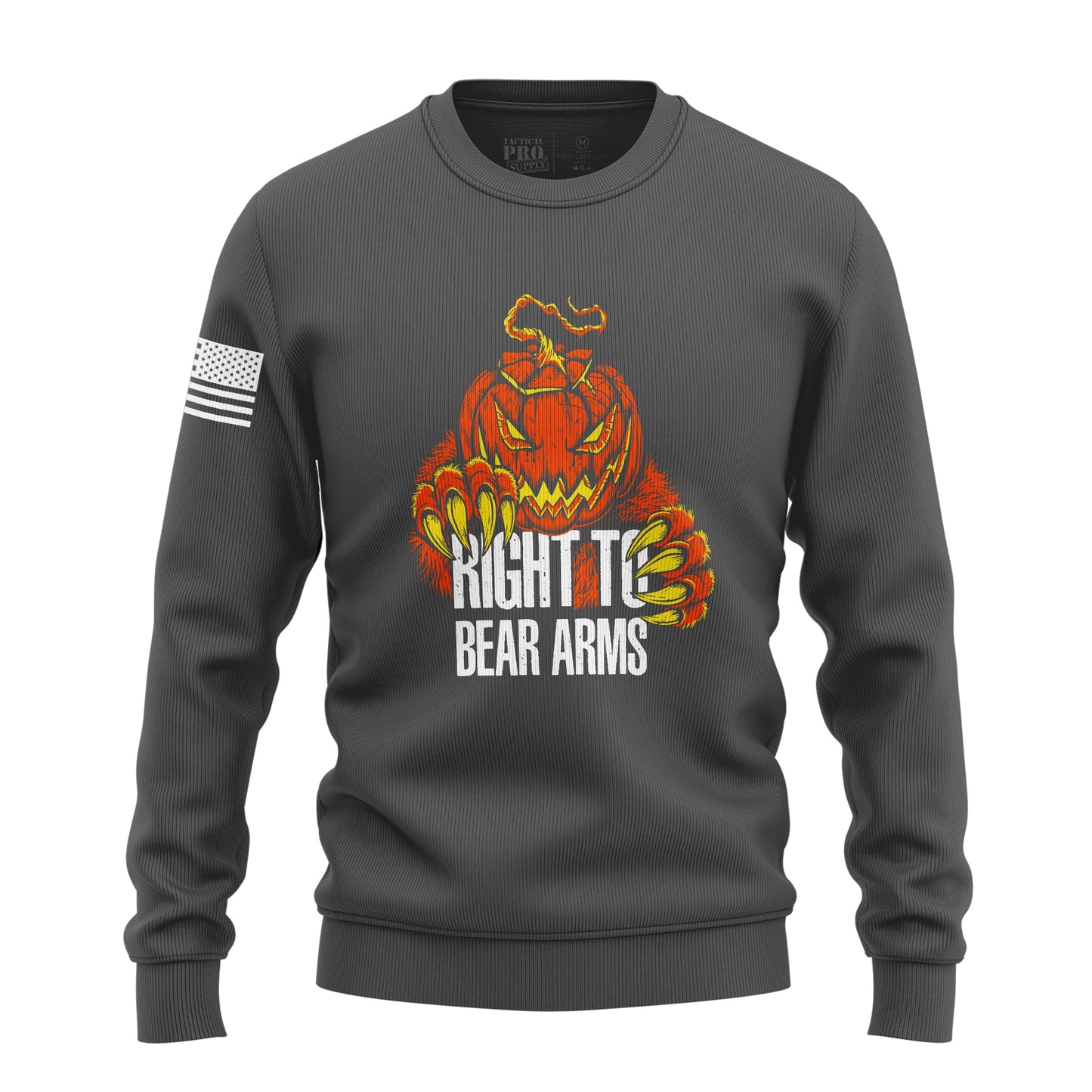 Right to Bear Arms