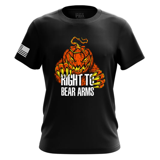 Right to Bear Arms