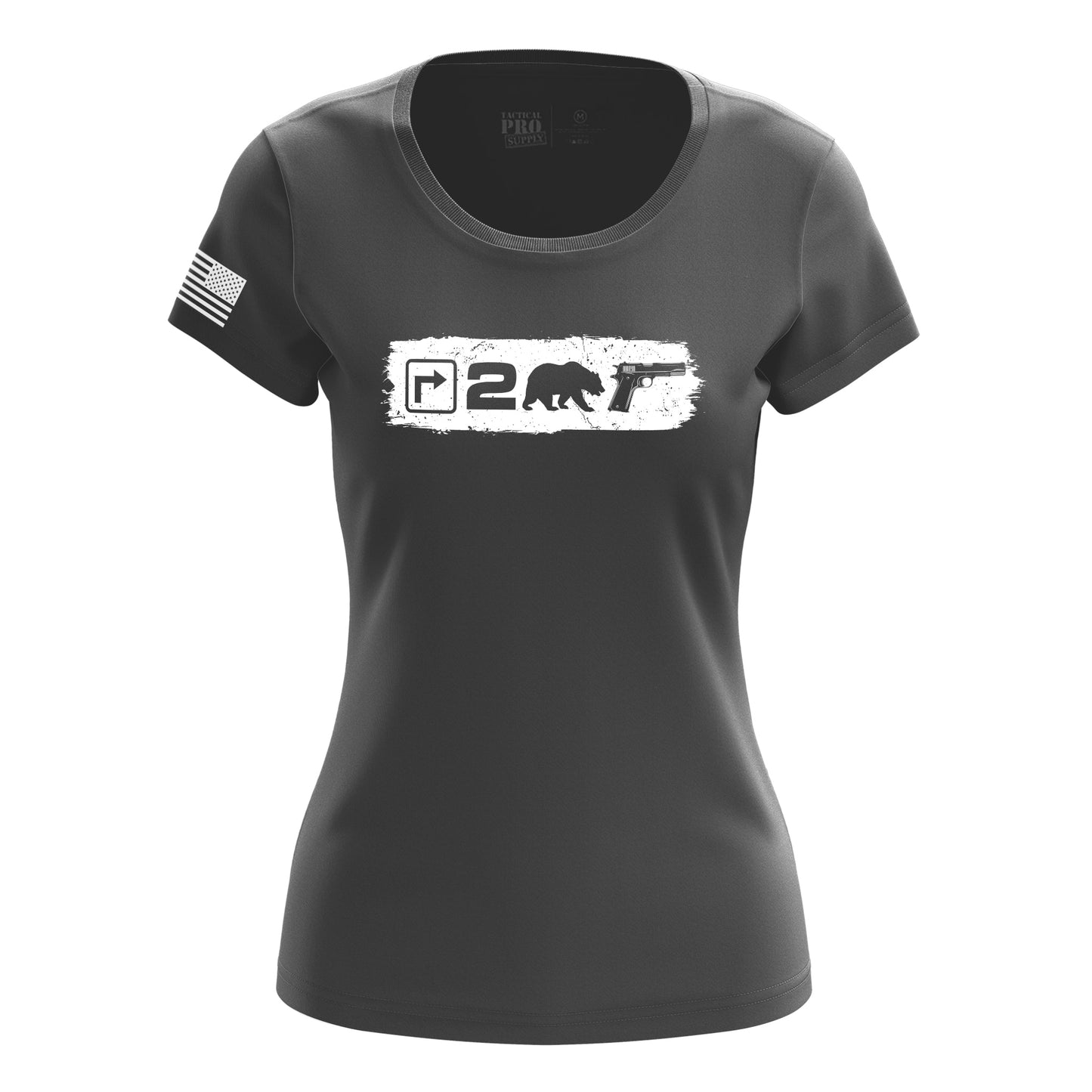Right to Bear Arms v2