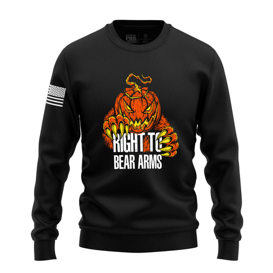 Right to Bear Arms