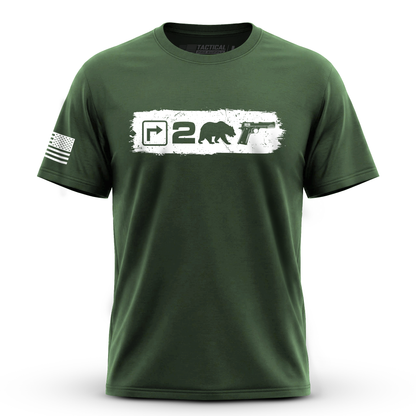 Right to Bear Arms v2