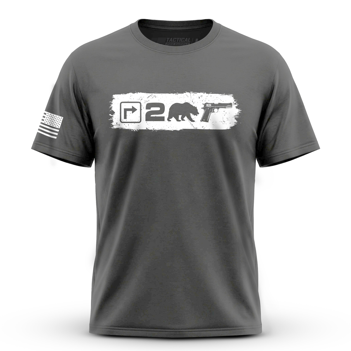 Right to Bear Arms v2