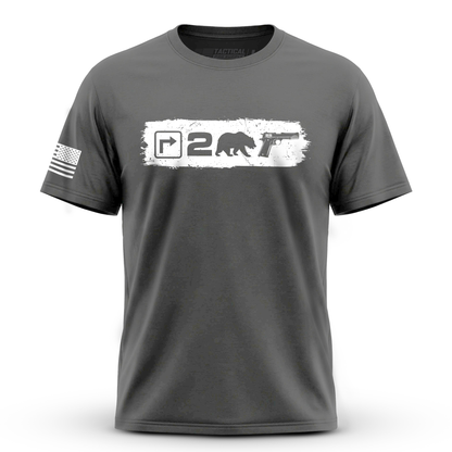 Right to Bear Arms v2
