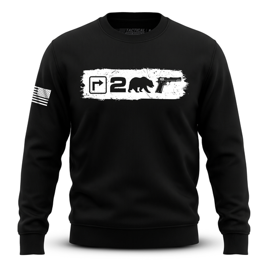 Right to Bear Arms v2