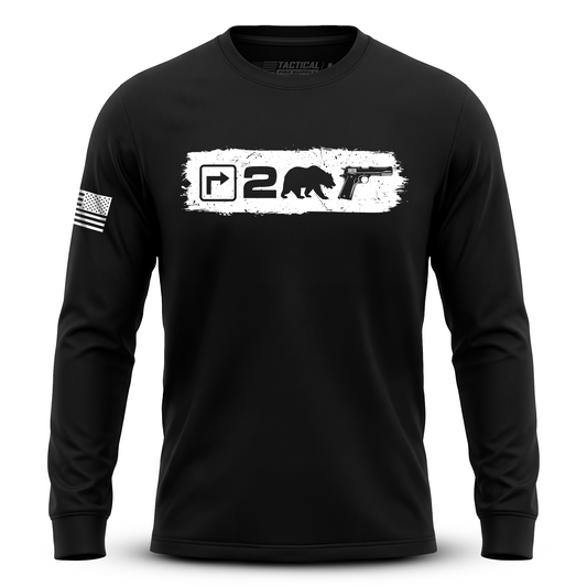 Right to Bear Arms v2