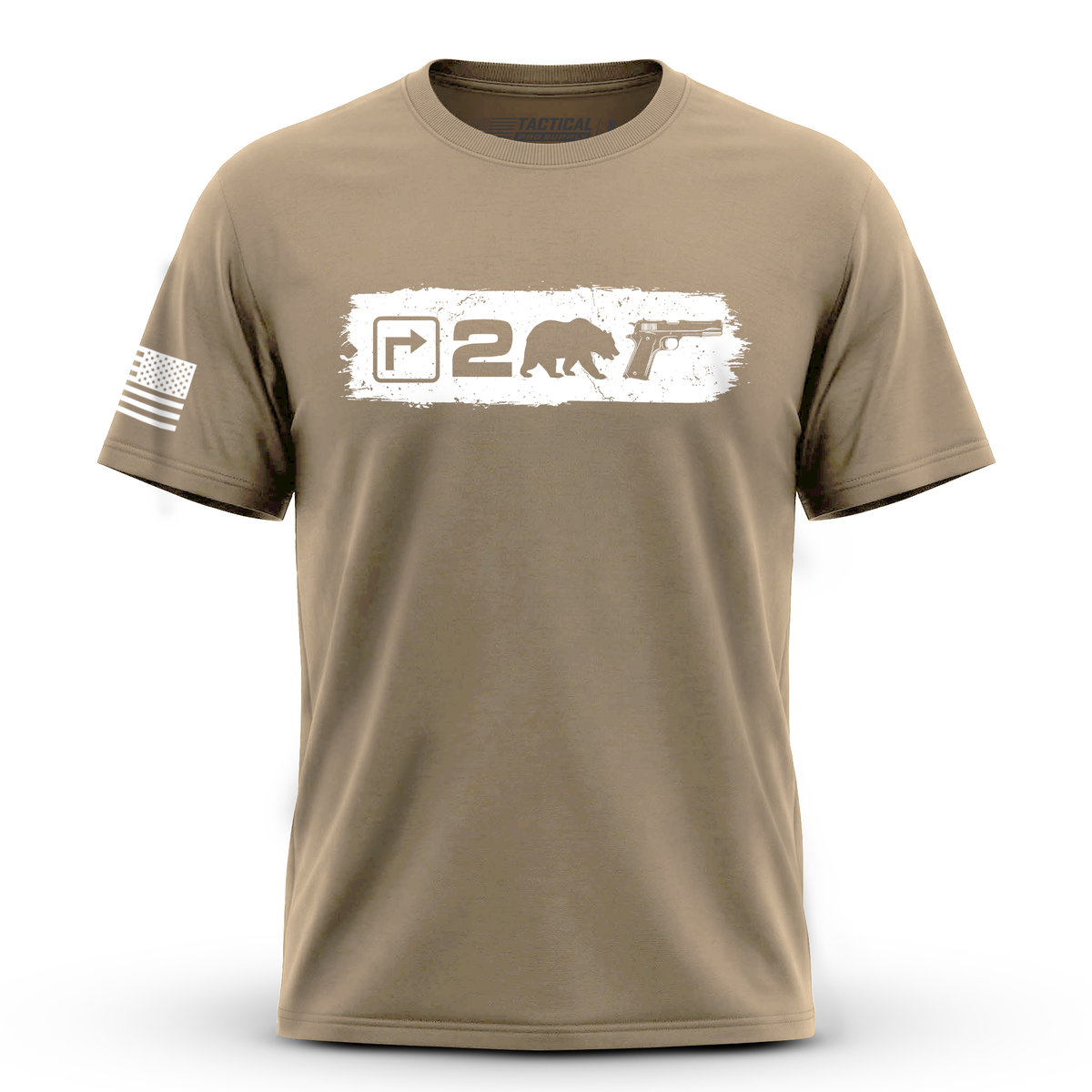 Right to Bear Arms v2