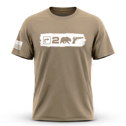 Right to Bear Arms v2