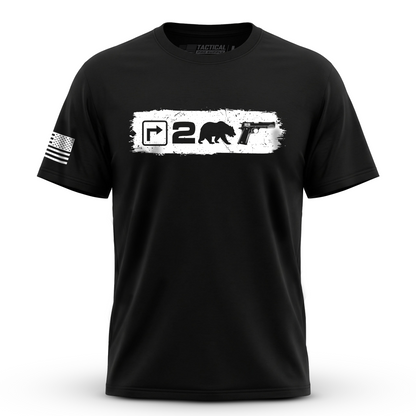 Right to Bear Arms v2