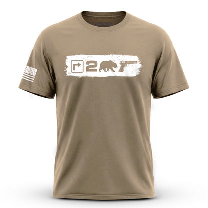 Right to Bear Arms v2
