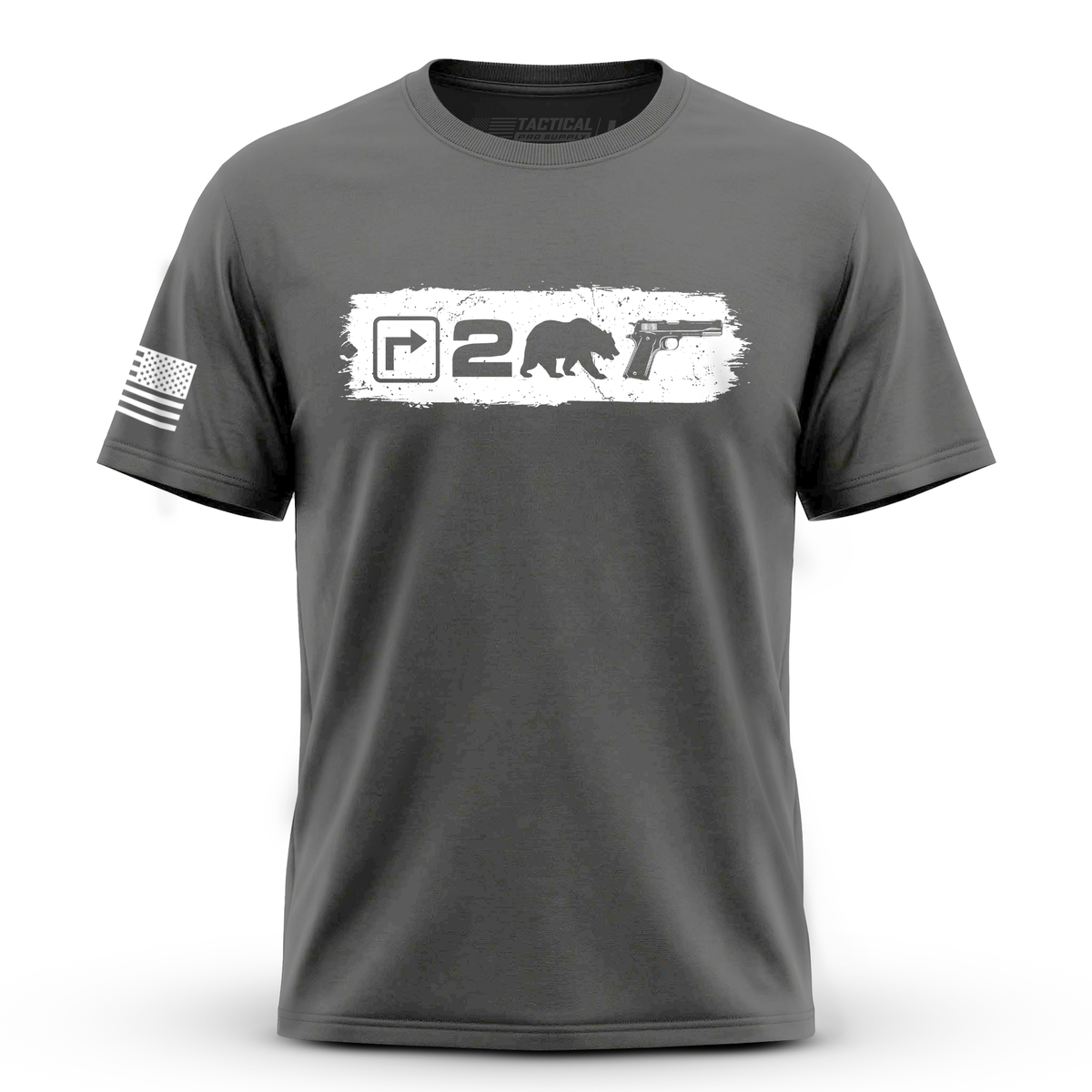 Right to Bear Arms v2