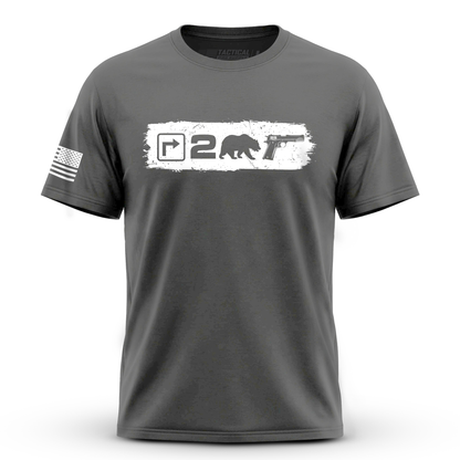 Right to Bear Arms v2