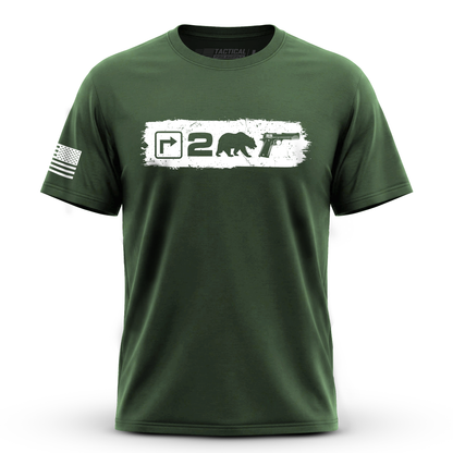 Right to Bear Arms v2
